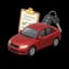 Car Inspections